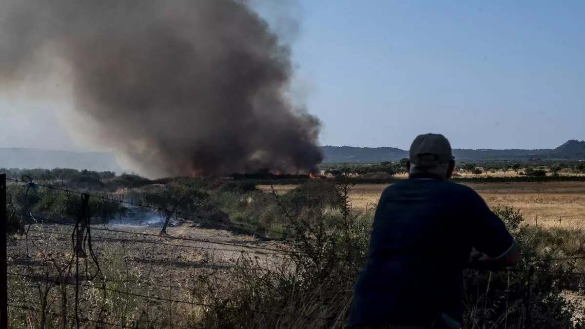 Antonio Solís, alcalde de Arroyomolinos: "Cuando se desató el incendio, tocamos las campanas y la gente fue a por los animales"