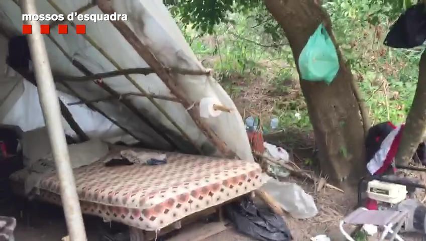 Plantació de Marihuana a Vilademuls