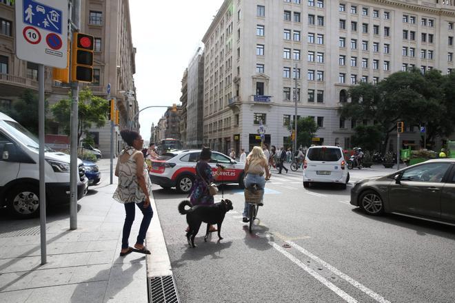 Les càmeres de Via Laietana multaran a partir del 27 d’abril amb 90 euros cada vehicle que pugi per la via sense autorització