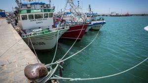 Barcos pesqueros amarrados en el puerto de Barbate.