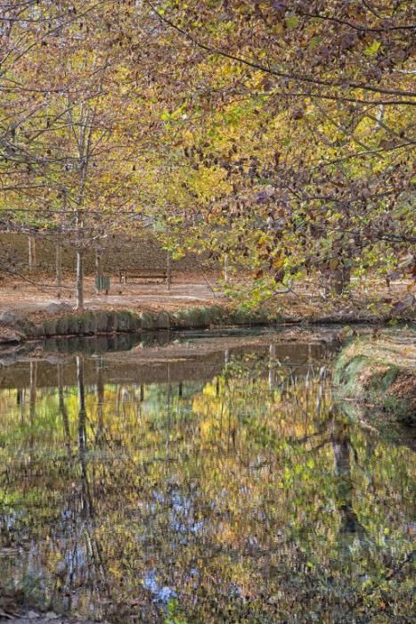 Fuentes del Marques: El otoño nace en Caravaca