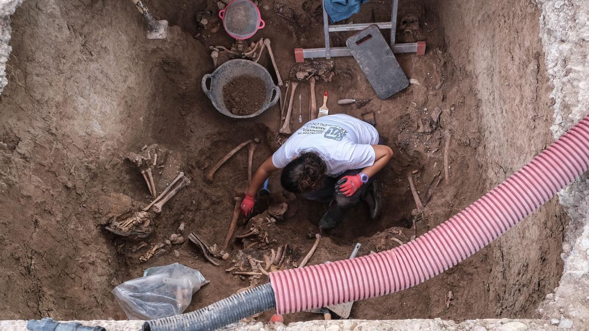 Los trabajos de exhumación de los restos mortales de los represaliados franquistas en una de las fosas del Cementerio de Alicante.