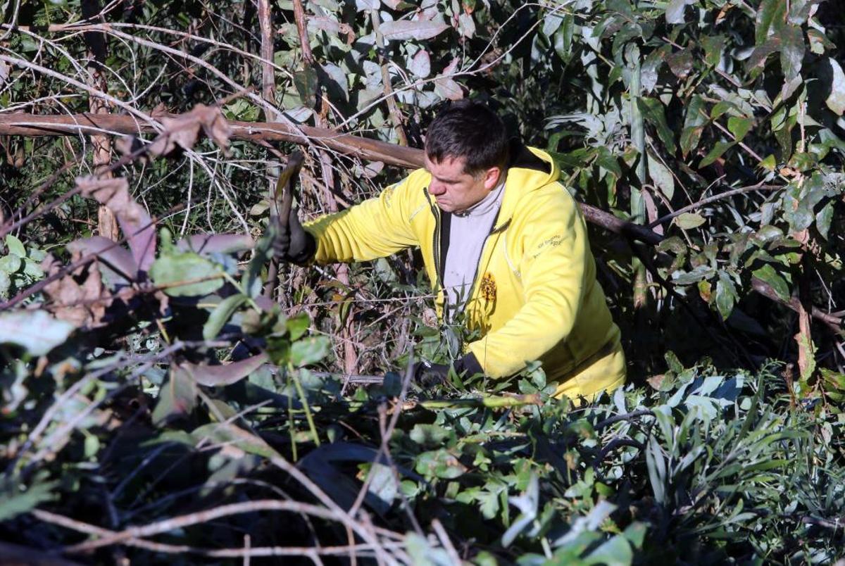 La Comunidad de Montes de Coruxo, que, en colaboración con las brigadas deseucaliptizadoras de Verdegaia, organizaron una jornada de voluntariado para liberar de eucaliptos el regato de O Pontón. La Comunidad de Montes de Coruxo, que, en colaboración con las brigadas deseucaliptizadoras de Verdegaia, organizaron una jornada de voluntariado para liberar de eucaliptos el regato de O Pontón.