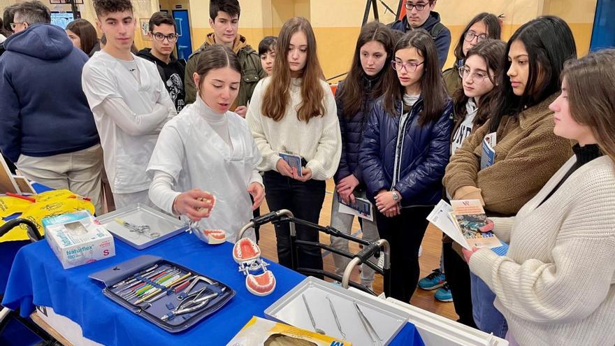 Alumnado visitando uno de los 28 stands instalados en el Complejo Deportivo Álvaro Pino.   | // D.P.