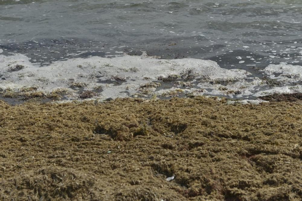 Protesta ante un Mar Menor que amanece cubierto de espuma