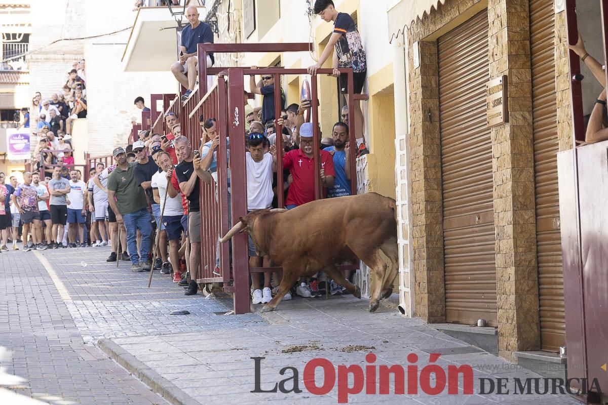 Tercer encierro de las Fiestas de Moratalla