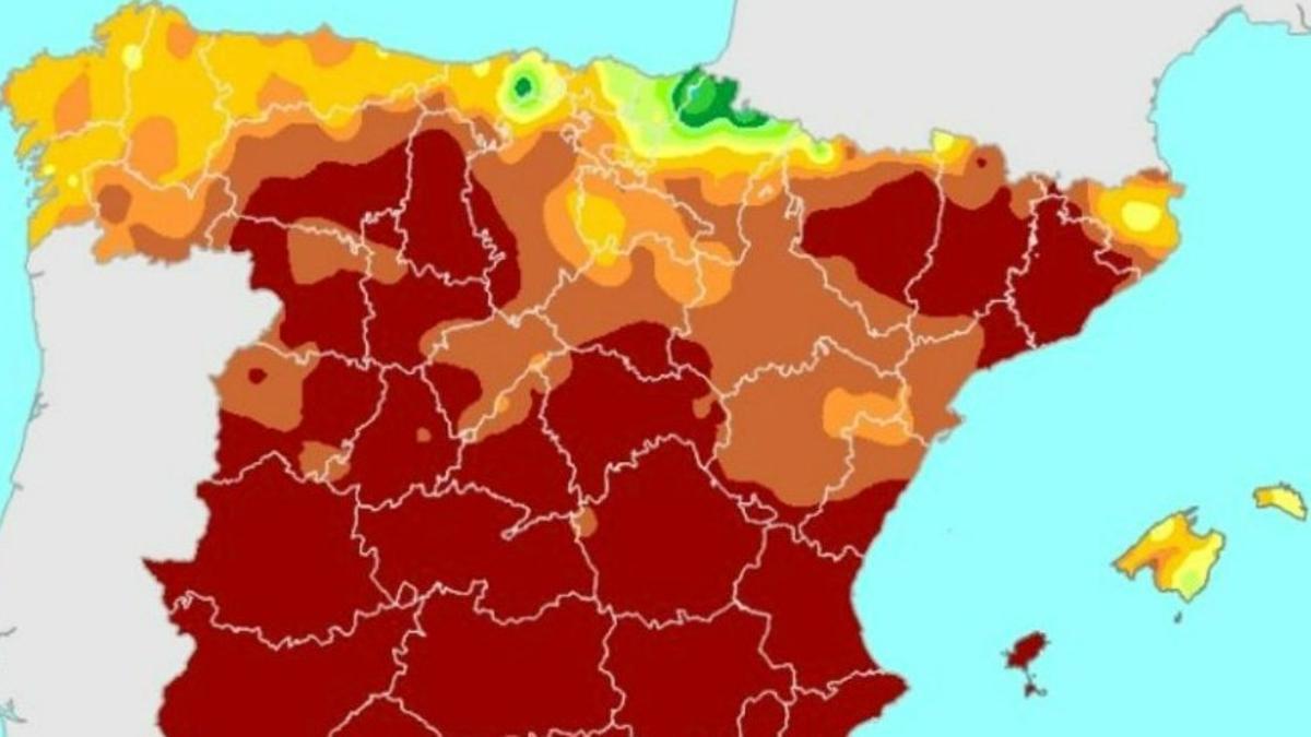 www.elperiodico.com