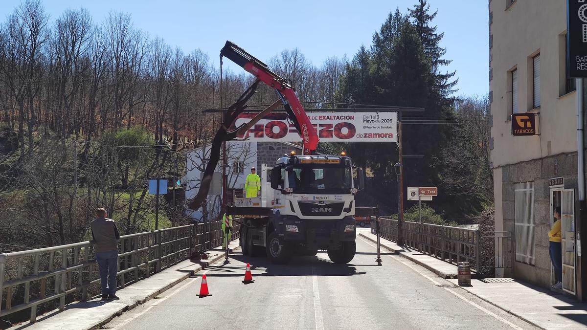 Operarios trabajan en la retirada del árbol encajado en el puente.