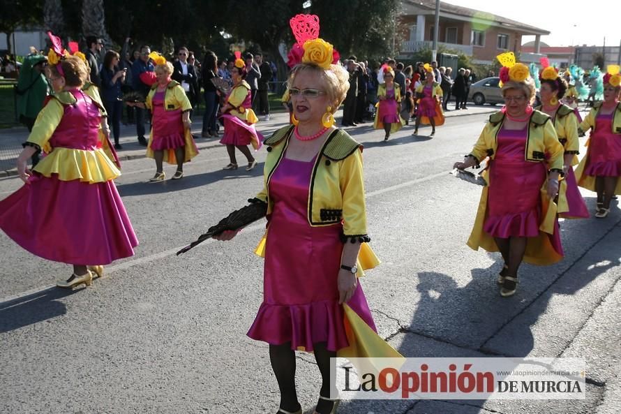 Desfile de Carnaval en Puente Tocinos (25-2-2017)