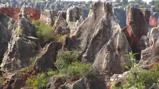 El Gran Cañón de Sevilla: esta es la ruta de senderismo para un planazo en otoño