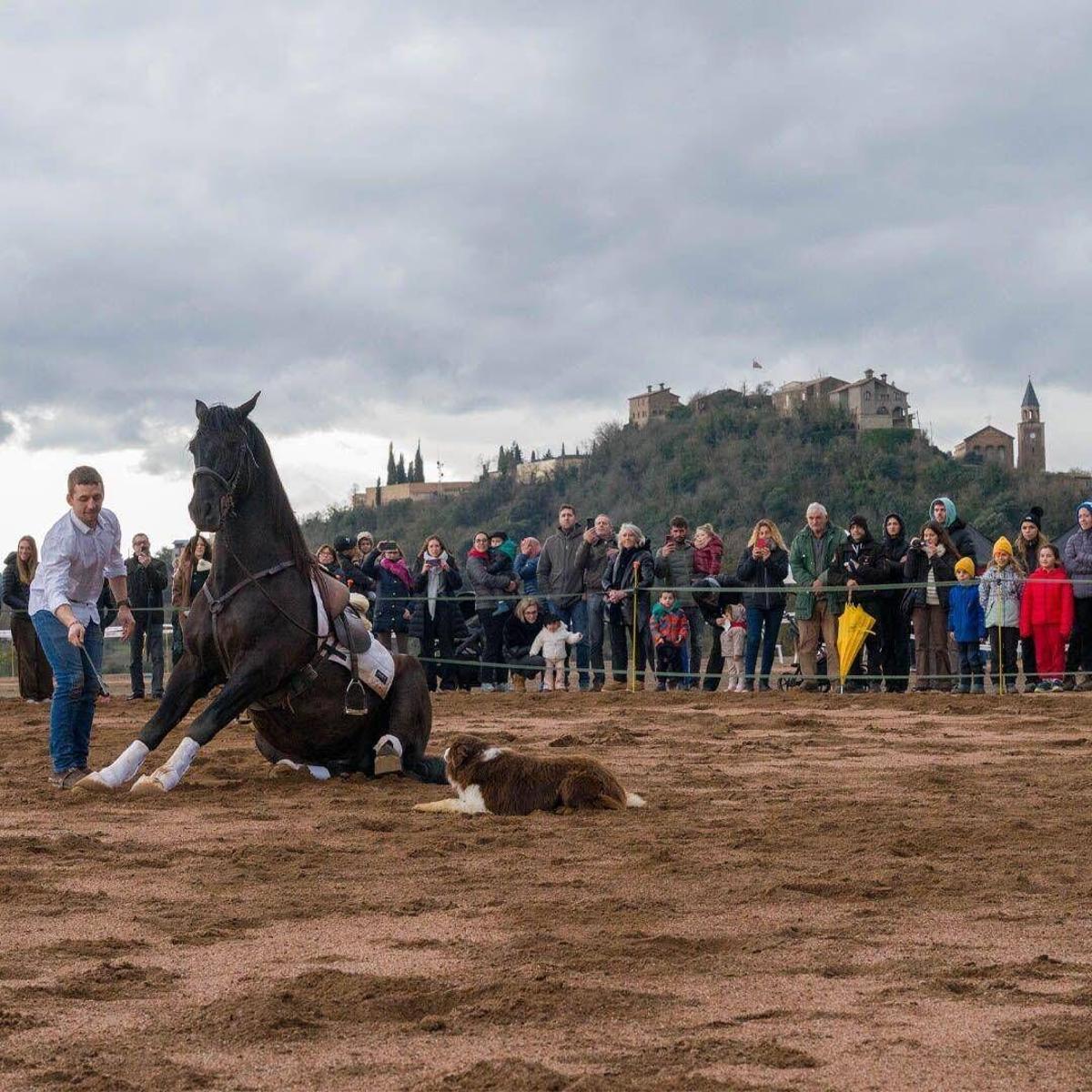 La Corrida en família d'aquest dissabte ha permès als més petits passejar en poni o ruc, participar en tallers i gaudir de demostracions de doma de cavalls.