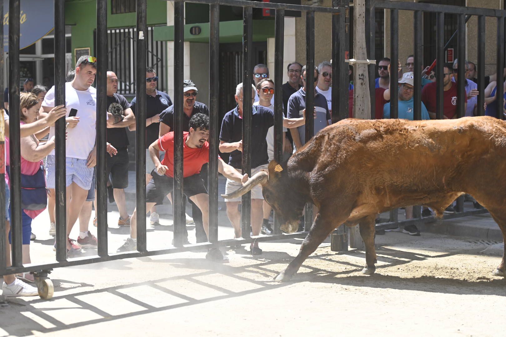 Martes de tradición, toros y fiesta en el Grau por Sant Pere