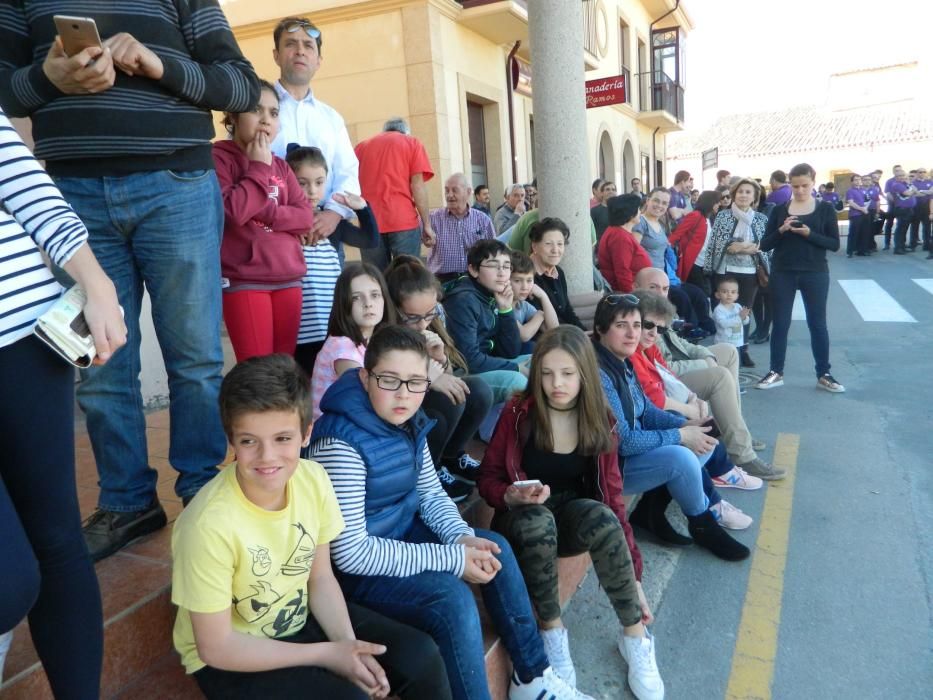 Encuentro de bandas en Moraleja del Vino.