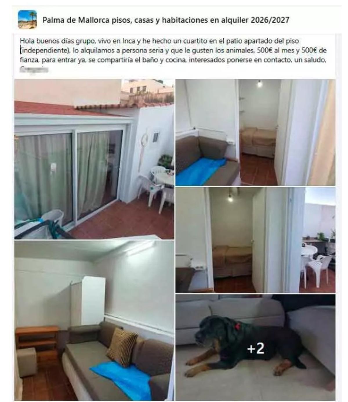 Die Anzeige auf Facebook.