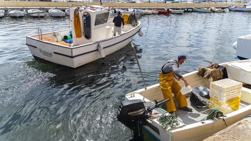 El Ministerio plantea ayudas a los pescadores del Mar Menor por la bajada en las capturas de langostinos