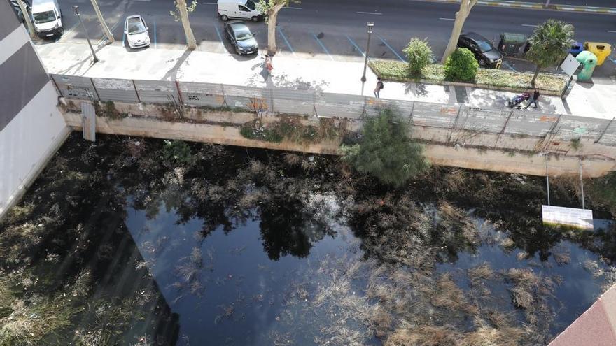 El solar totalmente inundado