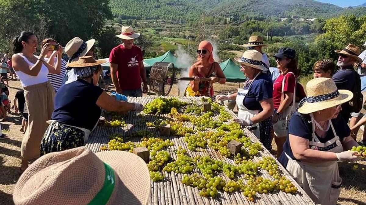 Una imagen de la Festa de l'Escaldà en Ròtova del año pasado