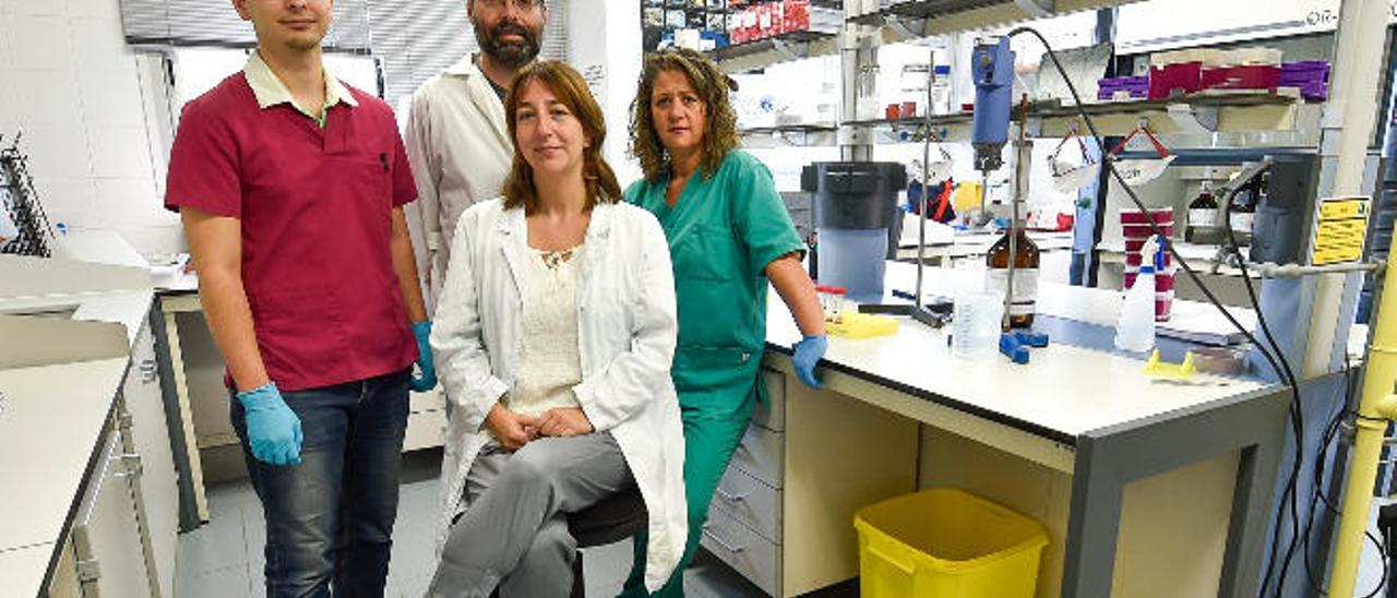 Natalia García (c) junto a Andrés Sánchez (i), Daniel Padilla y Ana Gutiérrez, parte del equipo de investigación del IUSA.