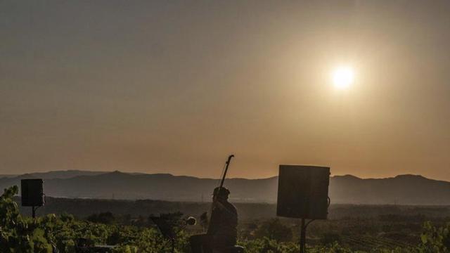 Eclipsi solar durant el concert del Festival Jordi Savall, ahir a Santes Creus. | JORDI OTIX