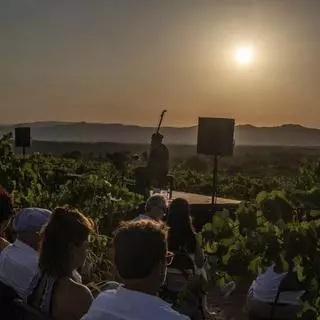 Música i llàgrimes entre vinyes