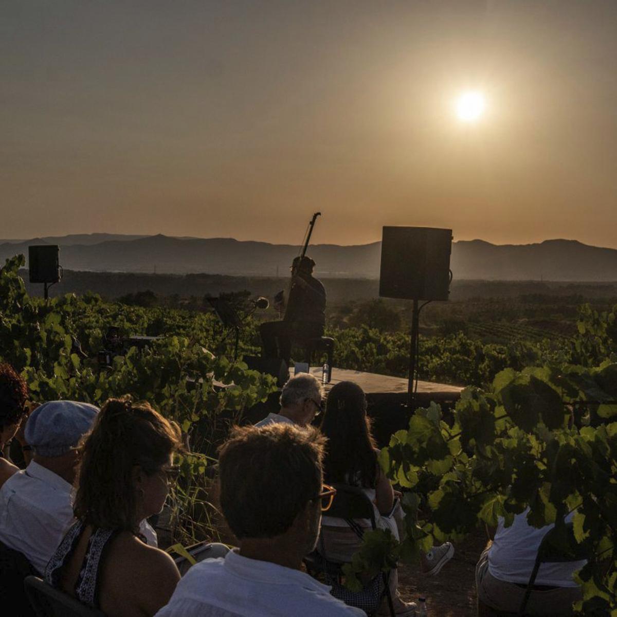 Música i llàgrimes entre vinyes