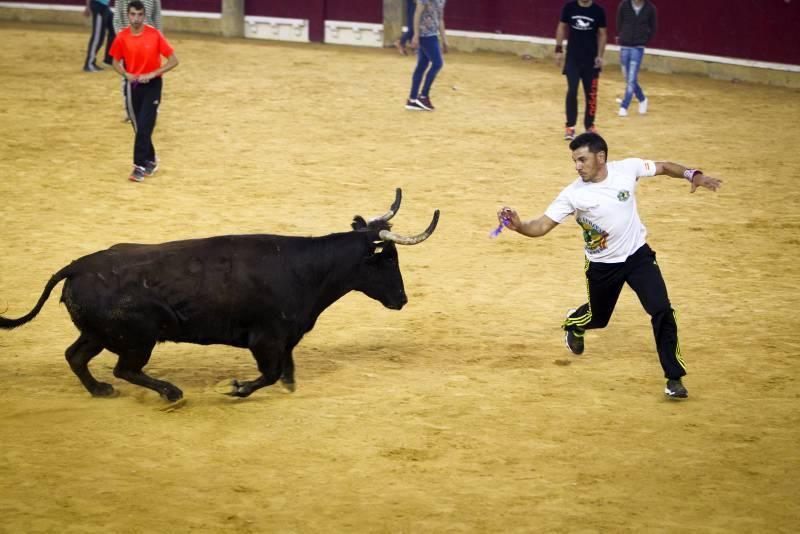 Segunda suelta de vaquillas, Lunes 12 de octubre de 2015