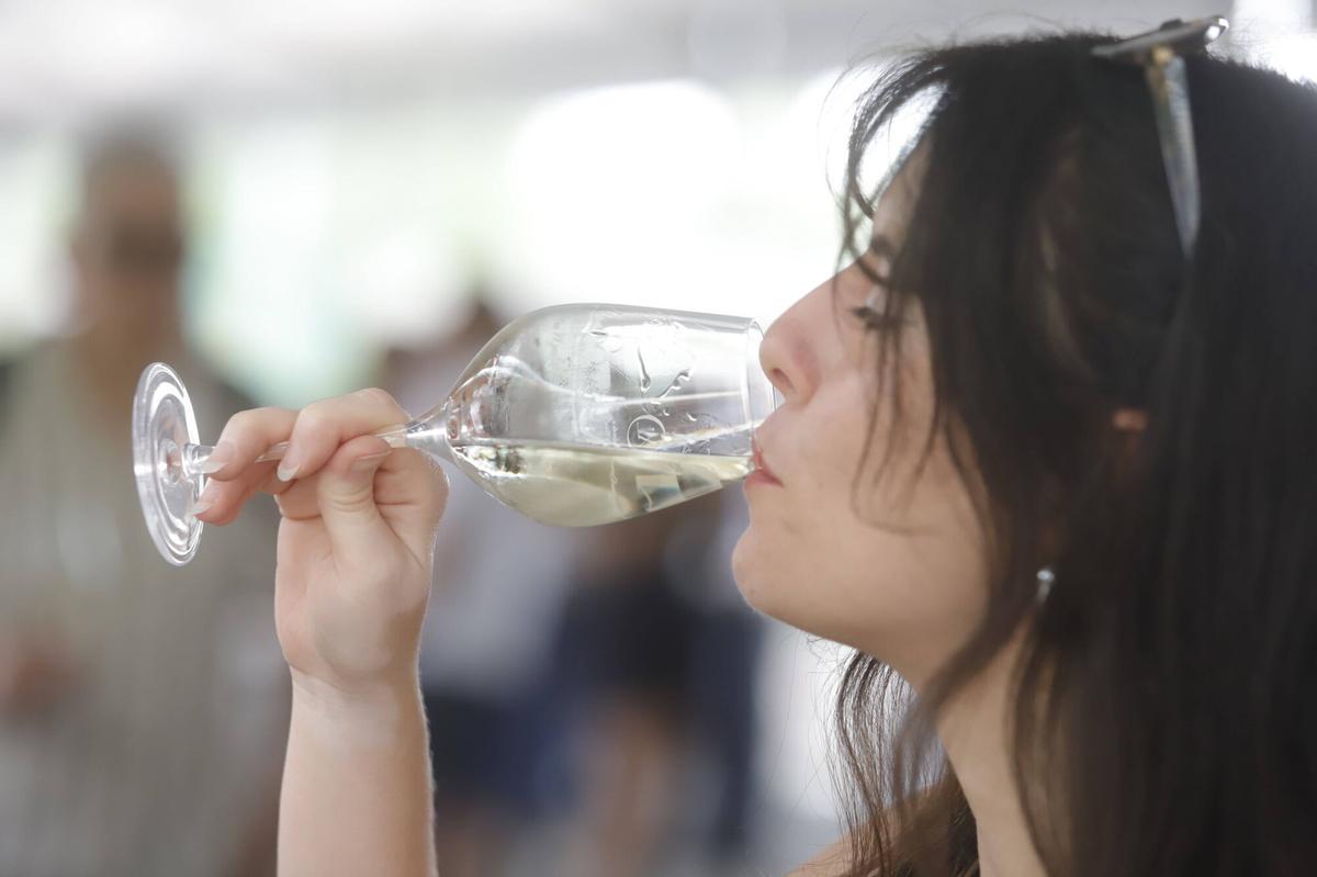 Presentaciones, catas y proyectos como Patios de Bodega marcan el viernes