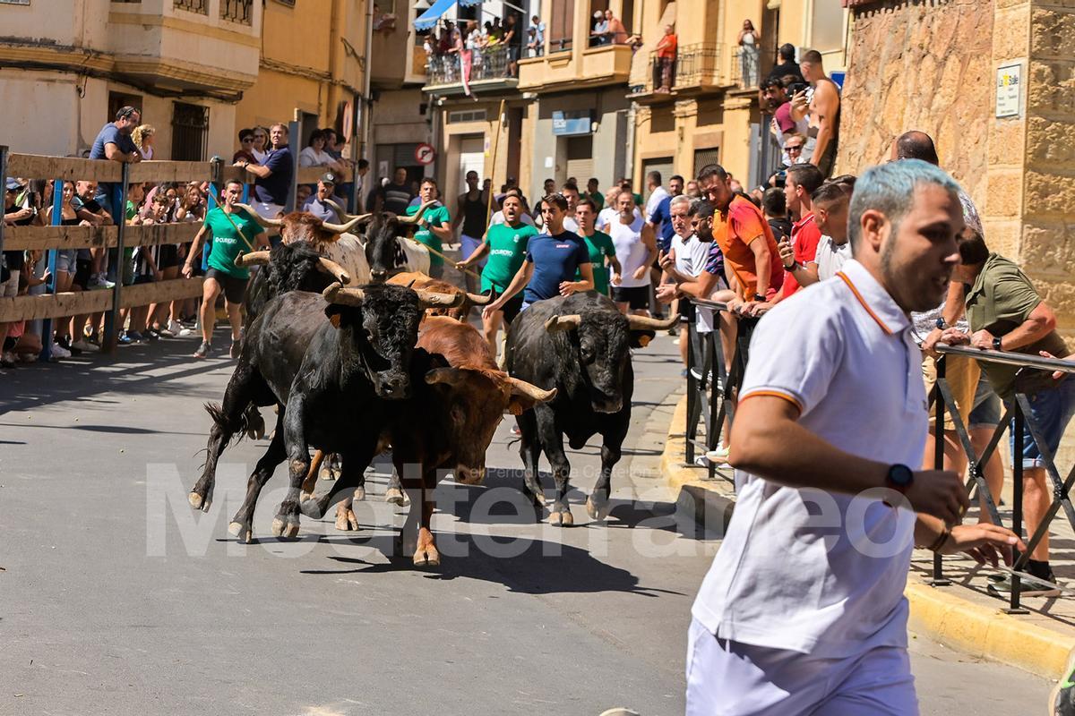 Bous a l'Alcora 2025