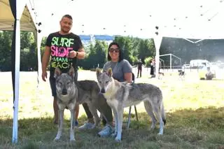 «Los perros lobo checoslovacos son más primitivos que el resto»