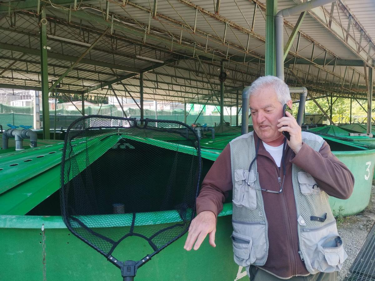 La extracción y traslado en vivo del campanu del Narcea, en imágenes