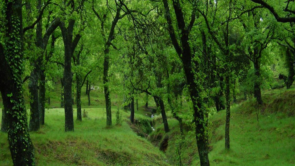 Foto del paraje natural del Rivet, en Benassal.