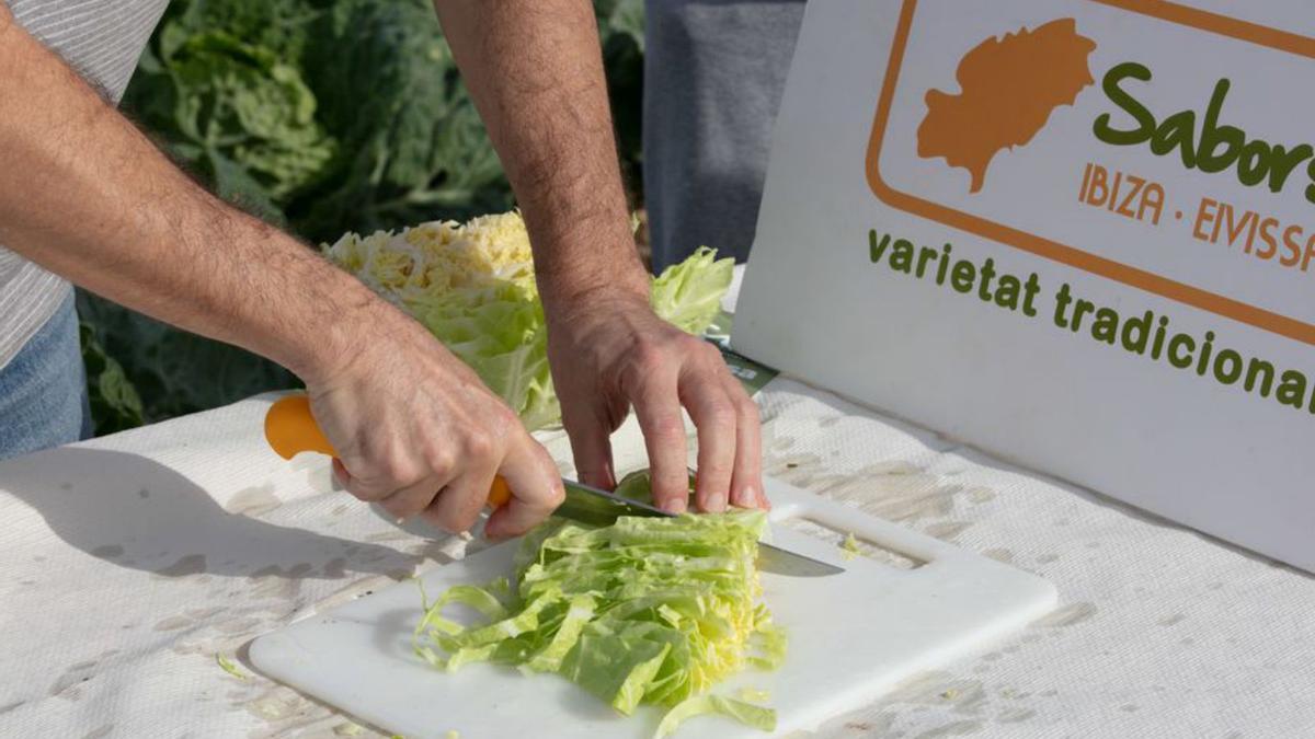 La ‘col pagesa’ protagoniza varias recetas tradicionales. | VICENT MARÍ