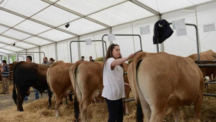 El anterior certamen dedicado al mundo rural.