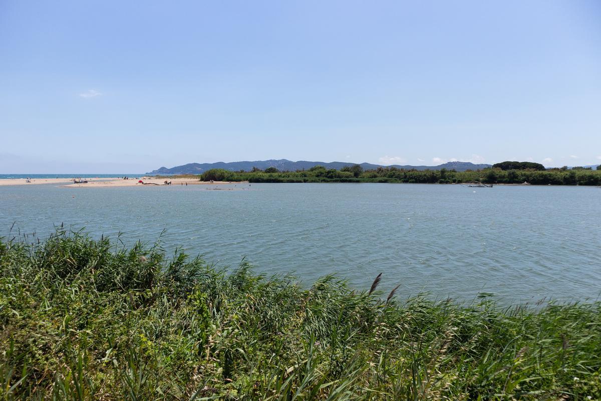 Paisaje del río Ter en el Parque Natural del Montgrí