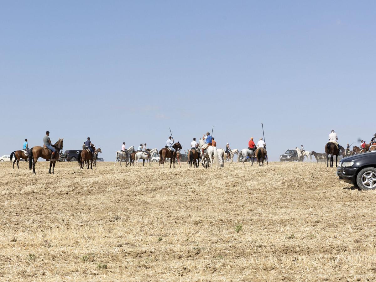 San Agustín Toro, 2026