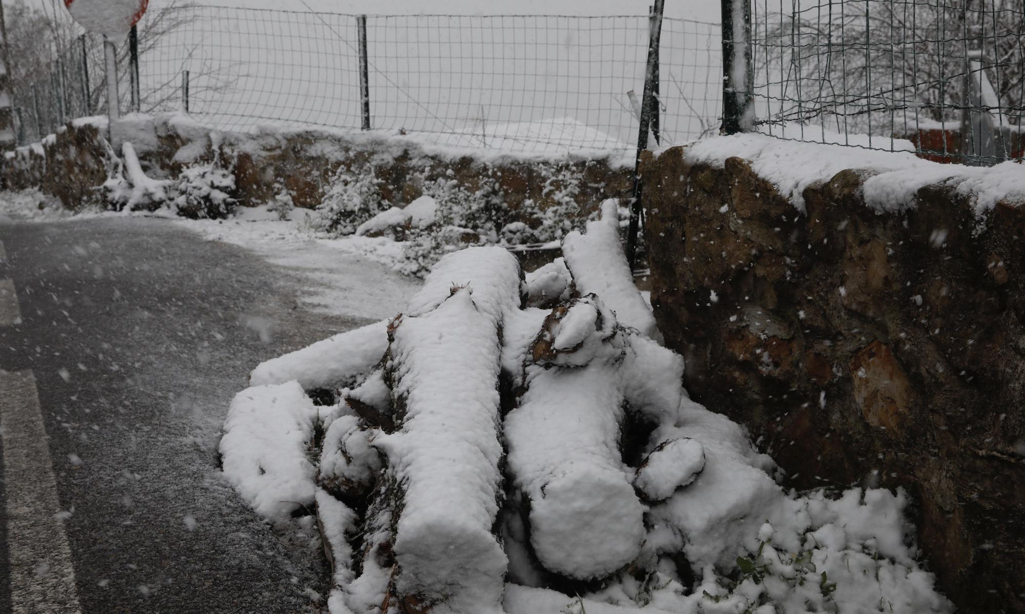 En imágenes: La borrasca Juliette llena de nieve parte de la zona rural de Gijón