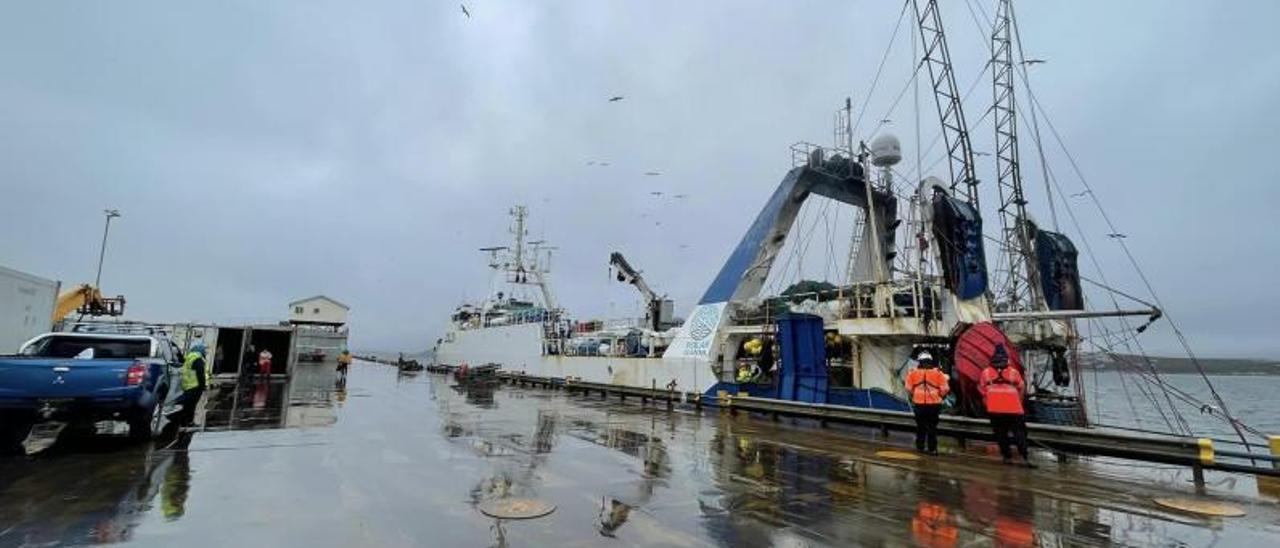 Uno de los buques con capital gallego descargan  en el puerto de Malvinas. |  POLAR SEAFISH