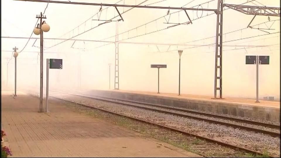 Incendi forestal a Llançà