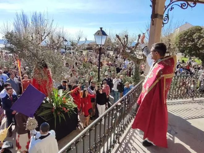 Semana Santa 2024: Un mar de palmas y olivos en Cangas