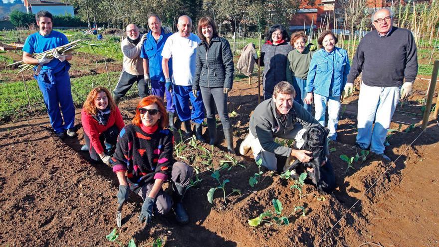 Usuarios de las nuevas parcelas en Sardomela, con el técnico de las fincas Gerardo Fernández. // M.G.Brea