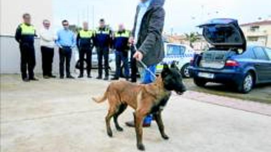 Llimi, el perro antidroga de la policía