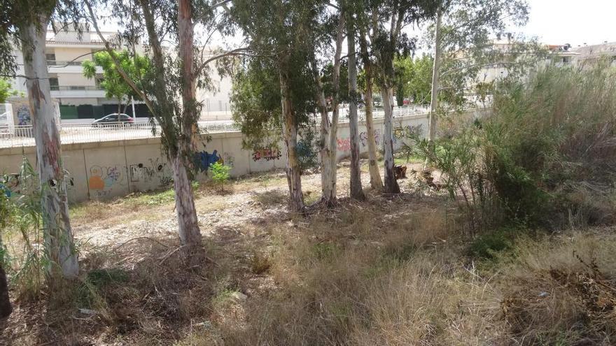 El cauce del río Gorgos, lleno de vegetación y cañas