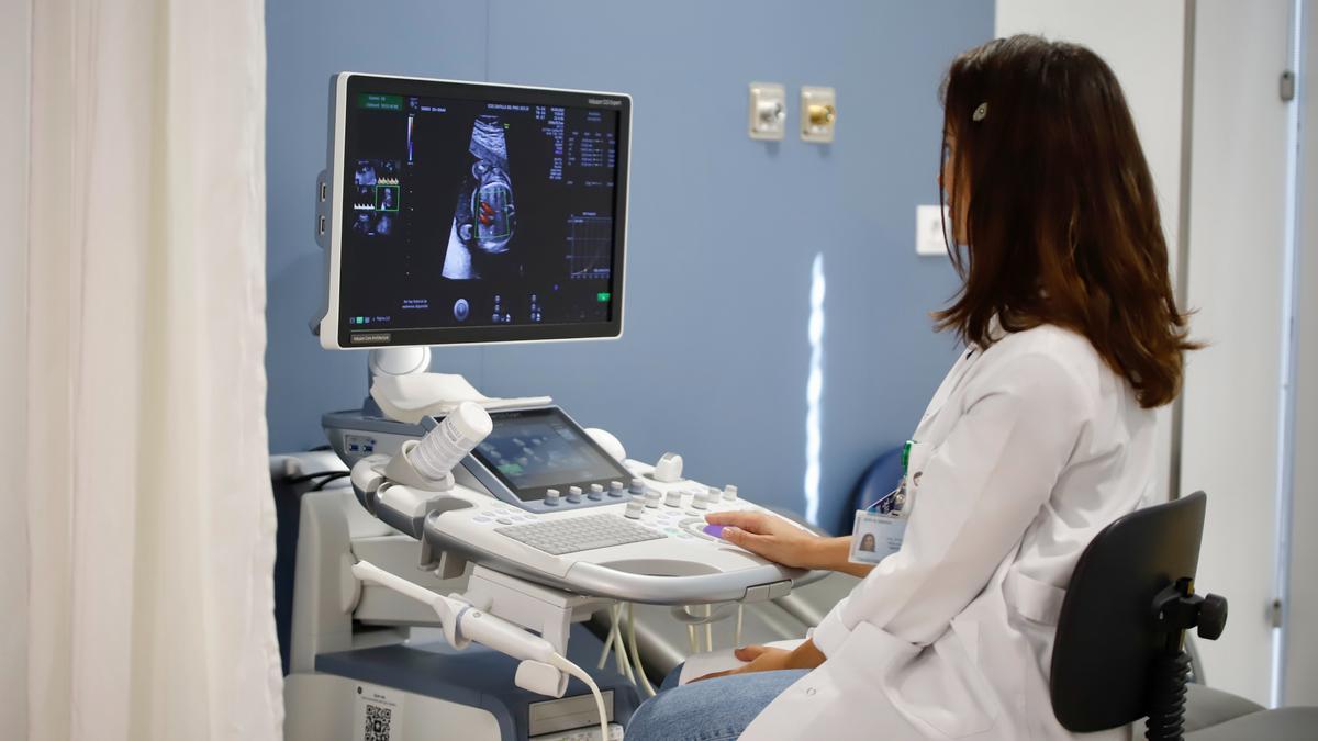 La doctora Sonja Peña, especialista en Ginecología y Obstetricia del hospital Reina Sofía, analiza una ecografía realizada a una gestante.
