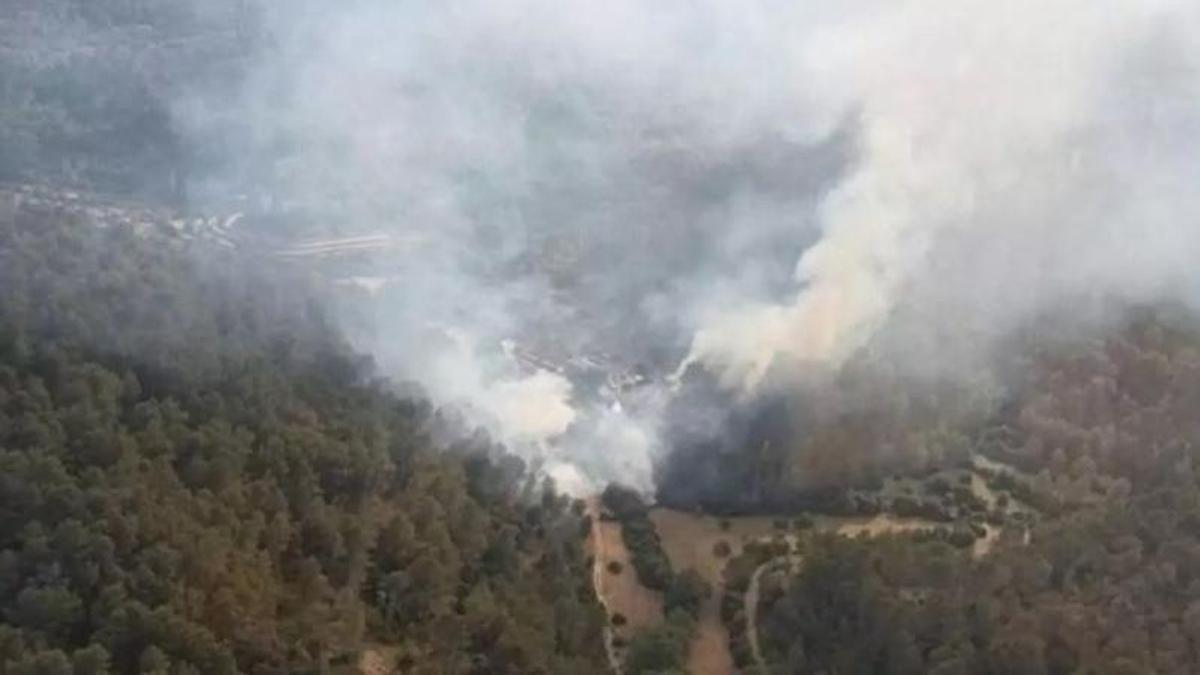 Erster-Waldbrand-des-Sommers-auf-Mallorca-Feuer-in-der-N-he-von-Wohnh-usern-gel-scht