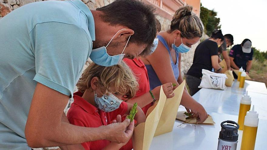 Els assistents al taller de plantes medicinals van conéixer la màgia de les herbes remeieres i van elaborar oli de romer i pericó.