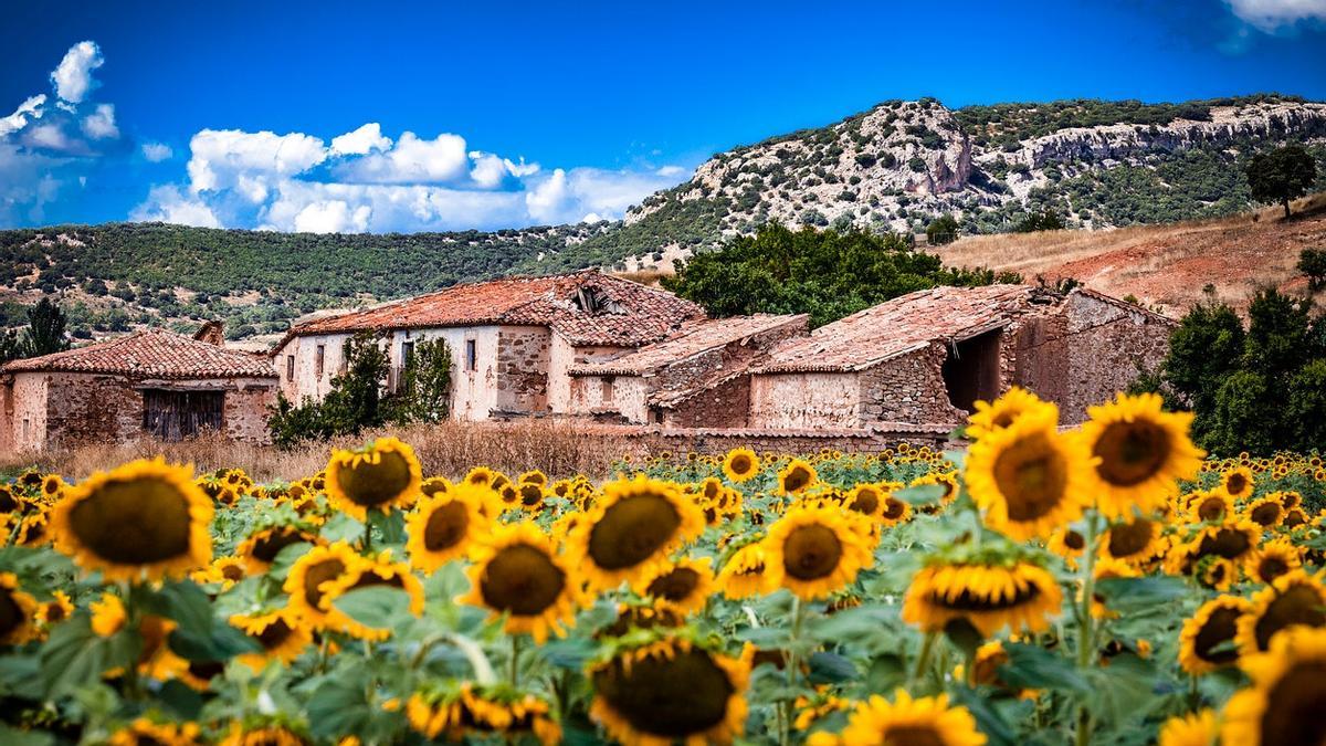 Soria, sostenible