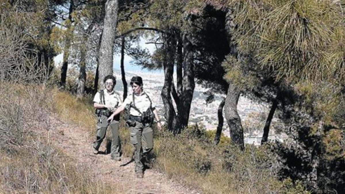 Dos agentes rurales realizan un recorrido de vigilancia por la sierra de Collserola, ayer.