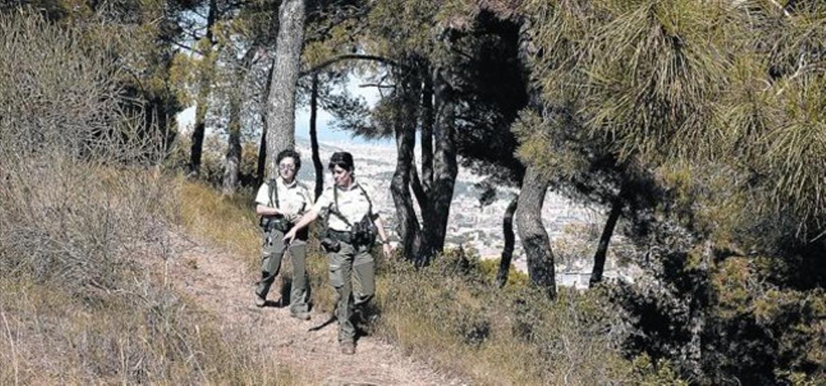 Dos agents rurals fan un recorregut de vigilància per la serra de Collserola, ahir. Dos agents rurals fan un recorregut de vigilància per la serra de Collserola, ahir.