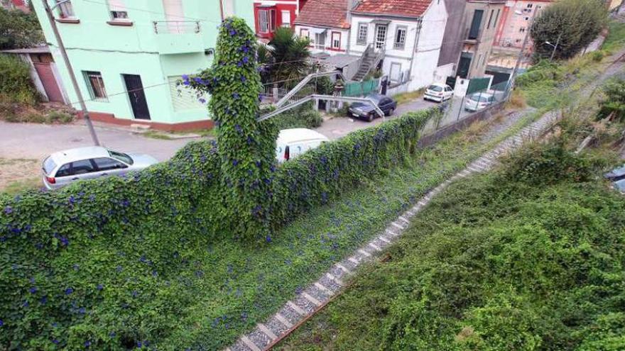 La maleza cubre parte de la vía y los muros hacia las viviendas de la calle Coutadas. // Marta G. Brea