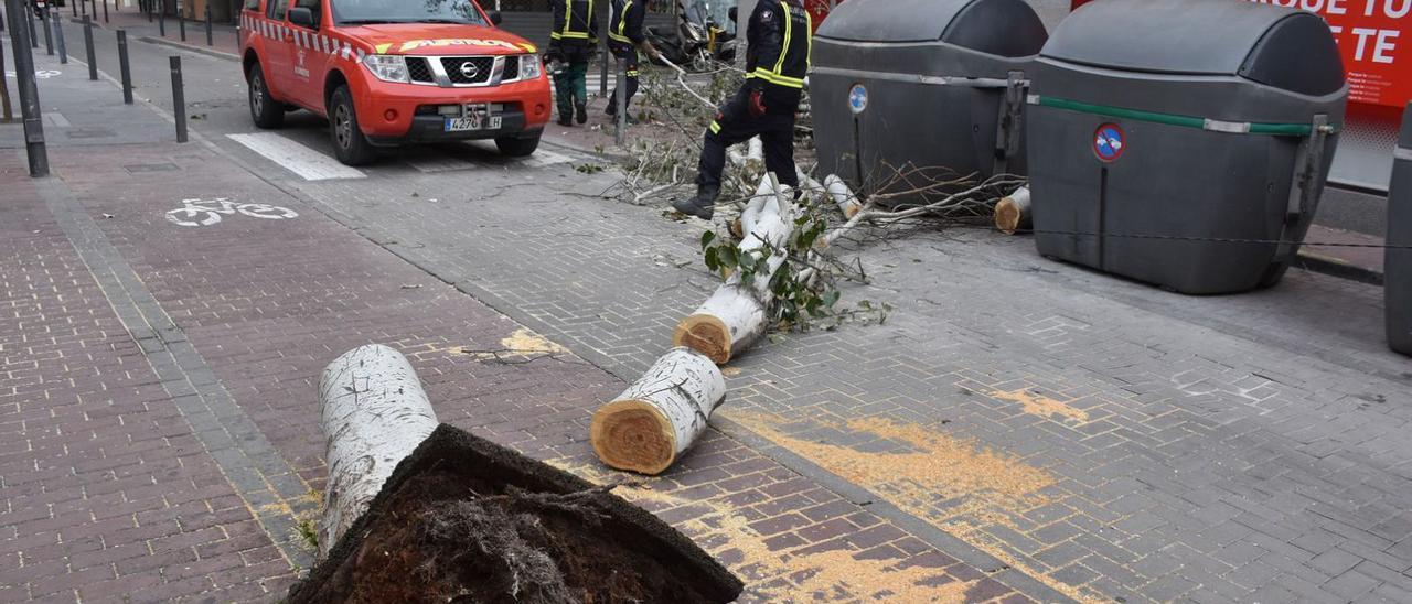 El viento tumba un árbol y tira varias ramas en Vila | CÉSAR NAVARRO